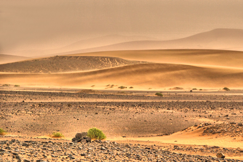 Sahara by Merzouga