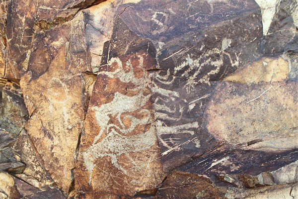 Mongolia_M_Gobi_RockEngravings_2797_m_600.jpg