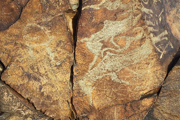 Mongolia_M_Gobi_RockEngravings_2798_m_600.jpg