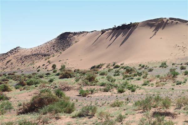 Mongolia_S_Gobi_Dunes_2578_m_600.jpg
