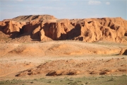 Mongolia_S_Gobi_FlamingC_Px11_2612_m_600