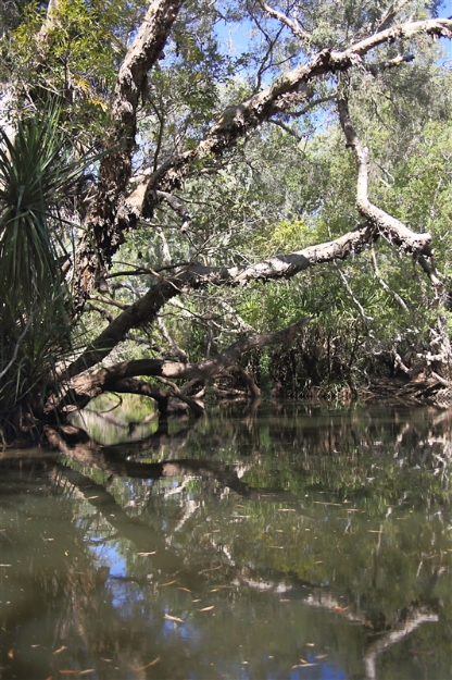 CoopersCreek_5877_m_800