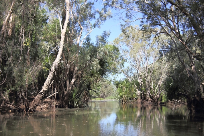 CoopersCreek_5879_m_800