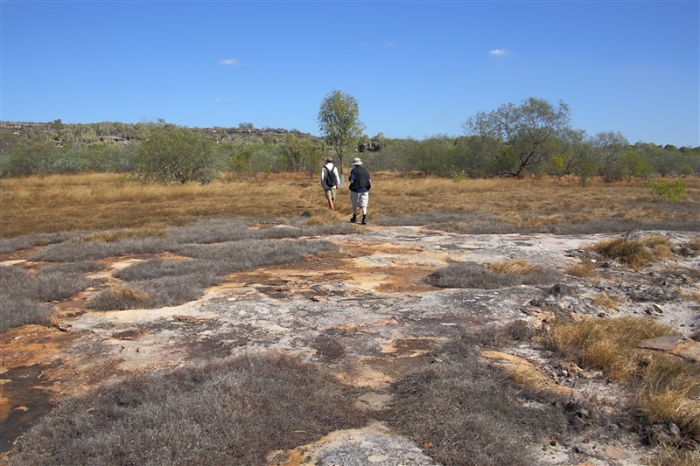 LeftHandBillabong_5895_m_800