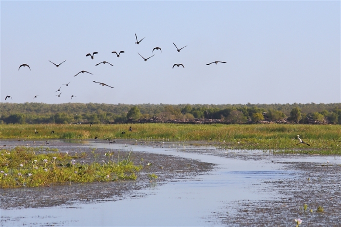 TheChannel_5971_m_800