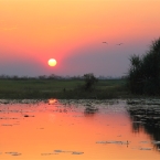 CoopersCreek_Sunset_6172_m_800