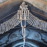 Sedlec Ossuary, Kutna Hora, Czech Republic