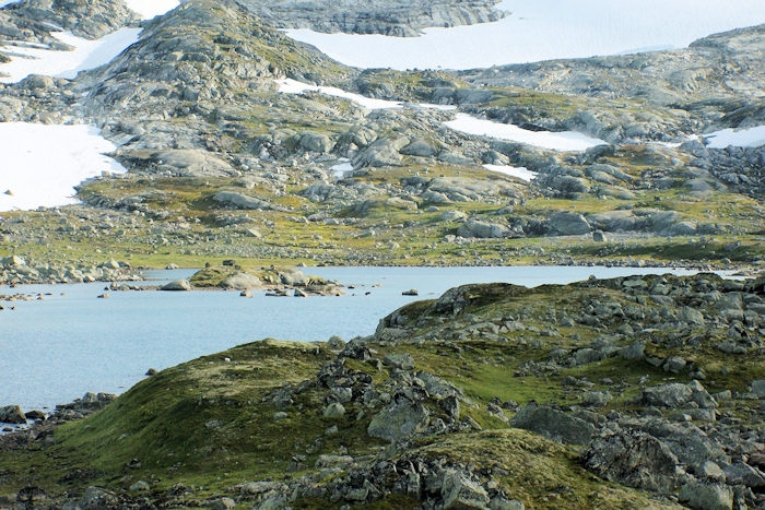 Train to Oslo_DSC05850