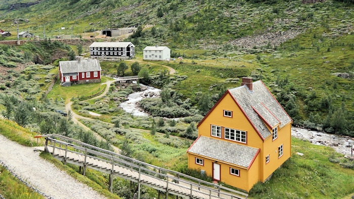 Train toMyrdal_DSC05848