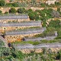 Malta_2442_Gozo_Nadur_Agricultural Terraces and Fencing_m